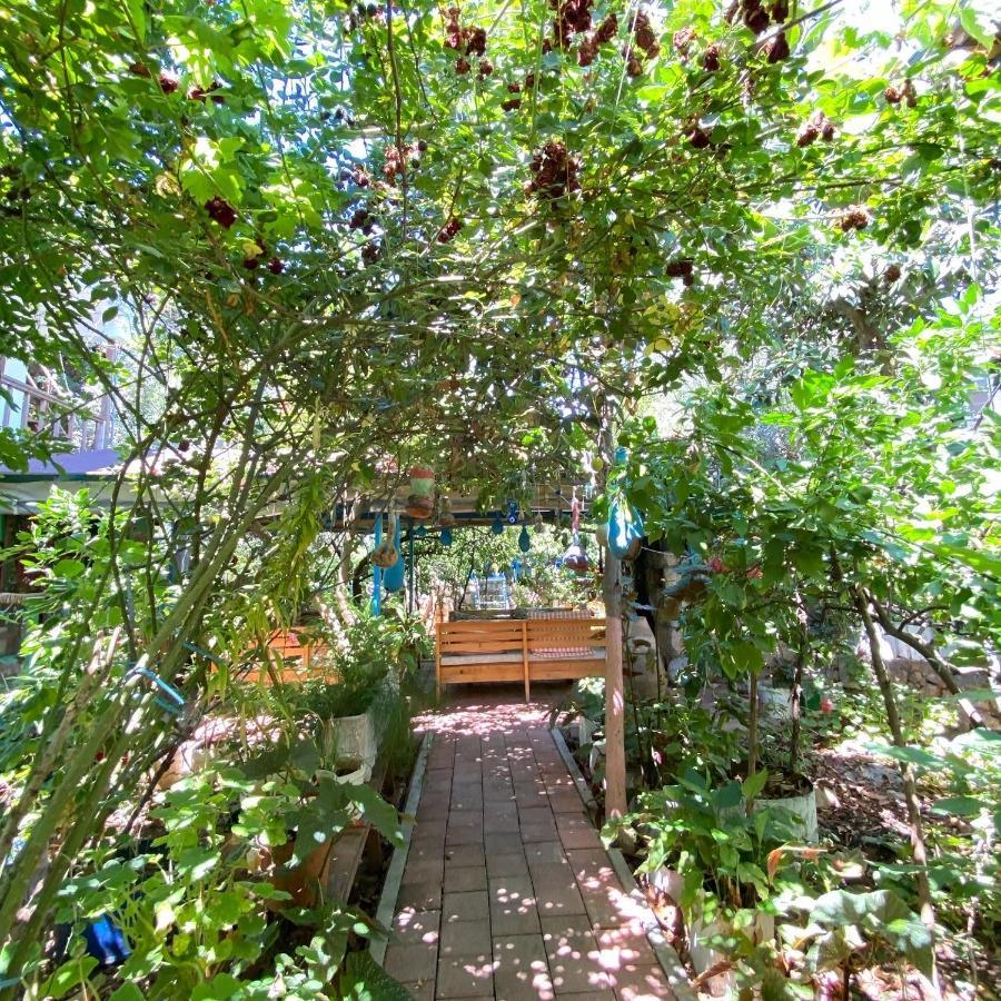Likya Pansiyon Kaleucagiz Exterior photo