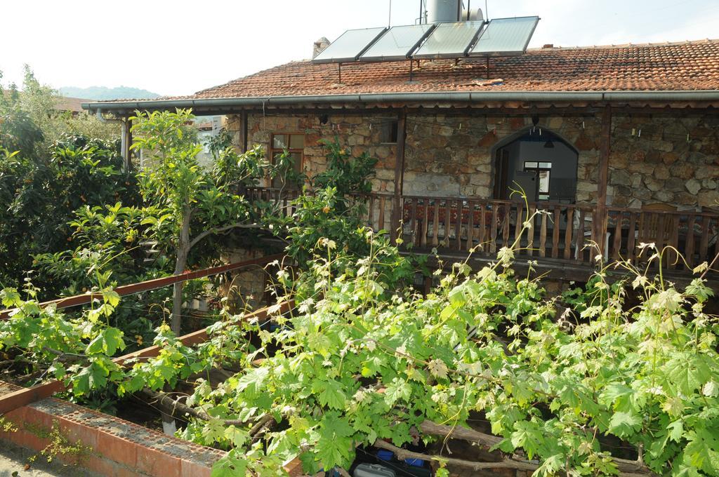 Likya Pansiyon Kaleucagiz Exterior photo