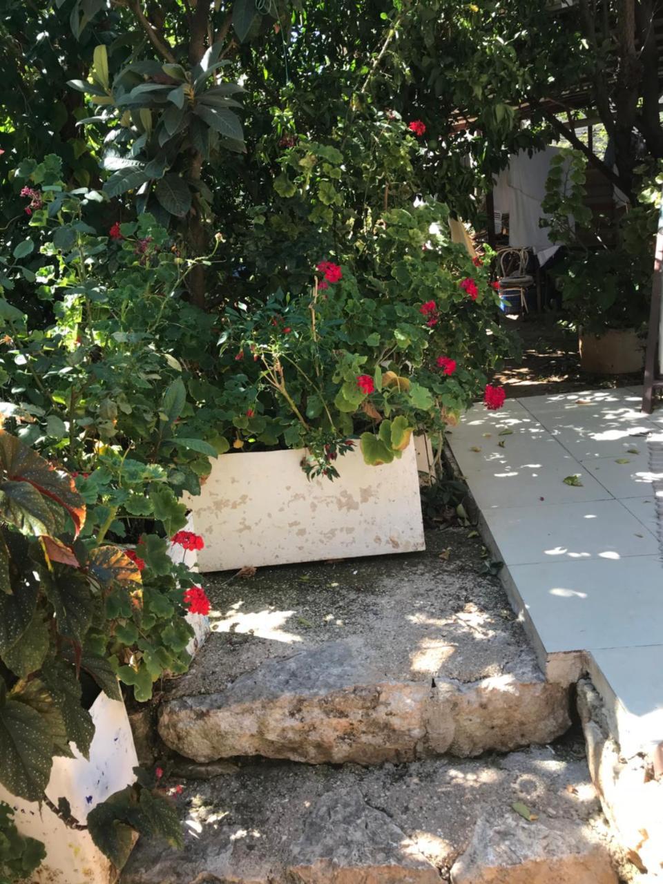 Likya Pansiyon Kaleucagiz Exterior photo